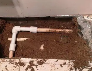 垫江测漏水哪家好