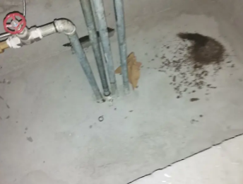 垫江卫生间测漏水价格明细