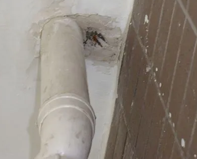 垫江漏水检测哪家好